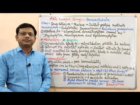 Antifungal Drugs (Part-10 Final) Griseofulvin Introduction and Mechanism of Action | Antifungal Drug