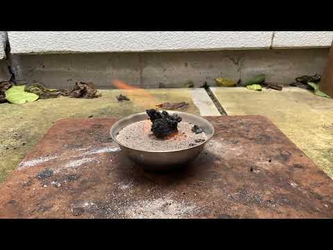 Black Fire Snake Experiment
