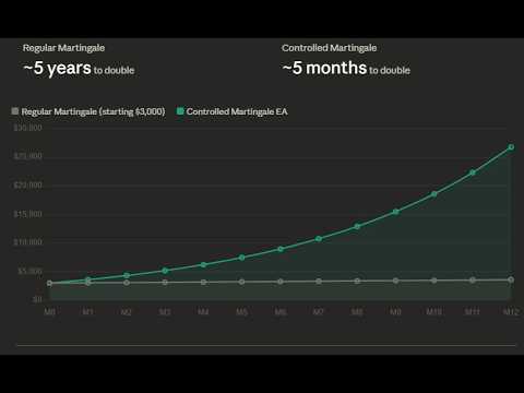 Video Controlled Martingale