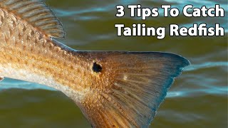 How to Catch Tailing Redfish (Best Times, Tides, Lures, & More)