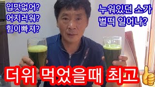익모초 효능 더위먹어 기력없고 어지럽고 입맛없고 속아플때 최고~~ 익모초효능