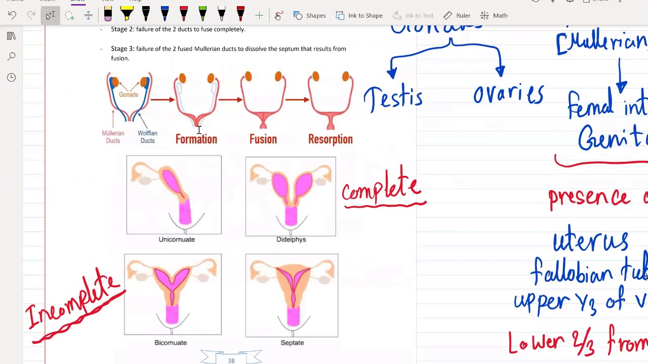 3. Gynecology part 3 or USMLE Step 2 CK - (Free trial course in Description Below)