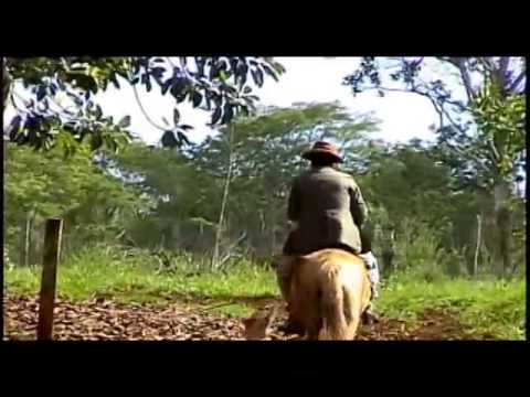 Fim de Caboclo -  Baltazar Violeiro e Martinho