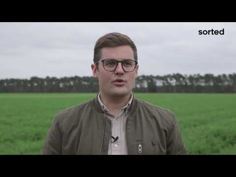 SORTEDxBASF: When you think of digital farming, what's the first thing that comes to your mind?