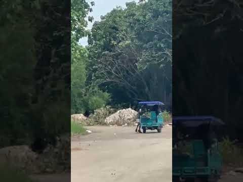 Intentan robar triciclo en el Barrio obrero de San  Miguel del Padron