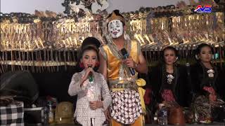 Download lagu Sesideman _ lintang kairo ft gareng angga mp3 Download lagu Sesideman _ lintang kairo ft gareng angga mp3