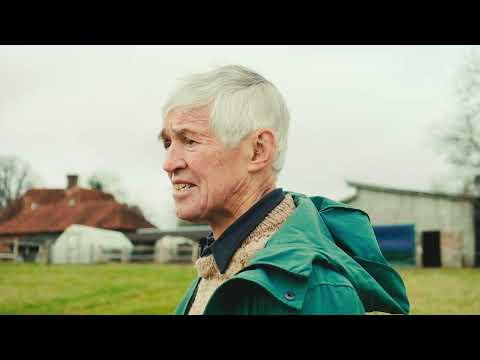 Solar panels and Tesla Powerwall battery storage | John's story | Tunbridge Wells, Kent