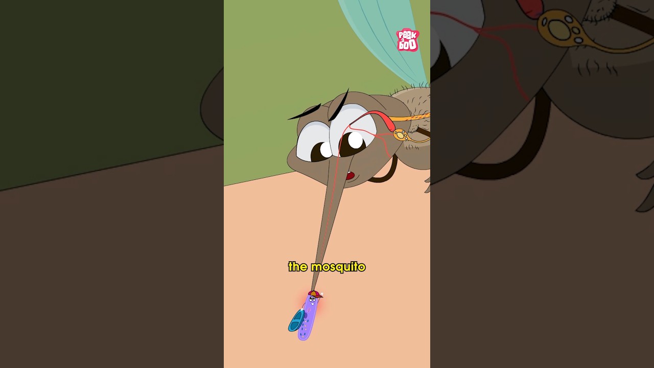 How Deadly Malaria Spreads Amongst Humans | World Malaria Day 2024 #peekabookidz  #worldmalariaday