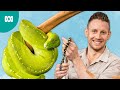 Learning About Animals With Ben Dessen Play School