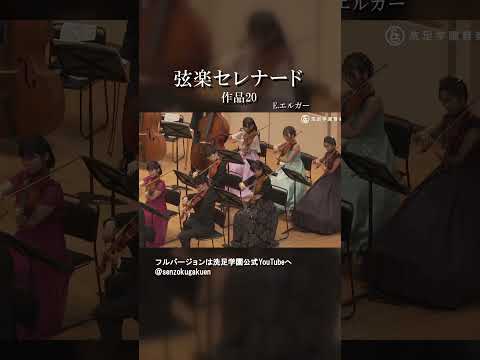 弦楽セレナード ホ短調 作品20