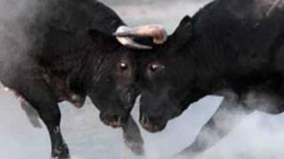 El Toro y la Luna (La luna y el toro)