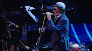 Van Morrison - Back to Writing Love Songs (Official Video)