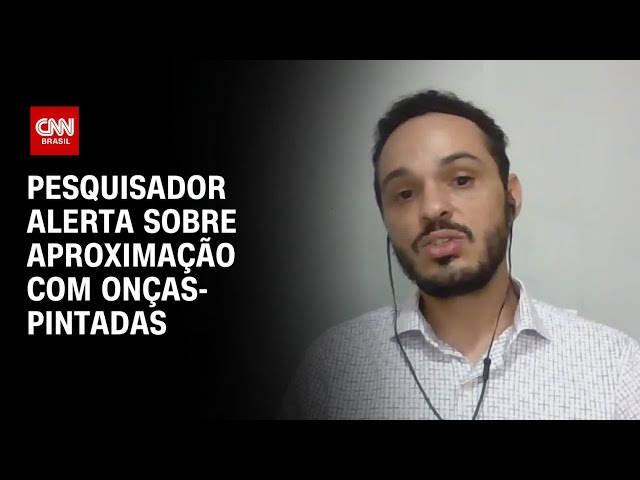 Pesquisador: Alimentar animais selvagens favorece aproximação de humanos | BASTIDORES CNN
