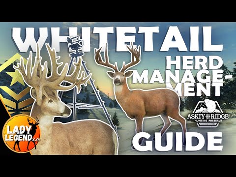 How to EASILY Spawn Your WHITETAIL GREAT ONE Using HERD MANAGEMENT!