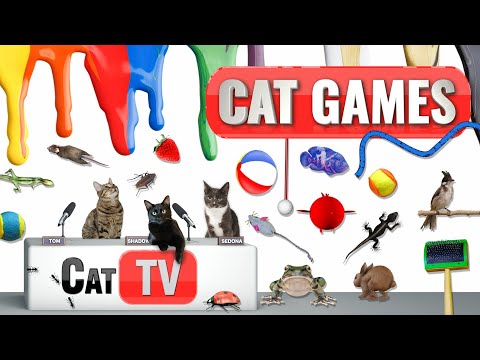 CAT Games | Ultimate Cat TV Compilation Vol 46 | 2 HOURS 🐝🐞🦋🦎🦜🐜🐭🧵