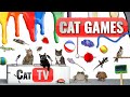 CAT Games | Ultimate Cat TV Compilation Vol 46 | 2 HOURS 🐝🐞🦋🦎🦜🐜🐭🧵