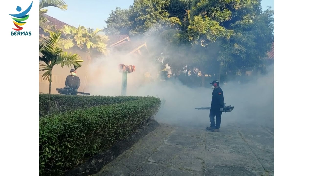 Kegiatan Fogging