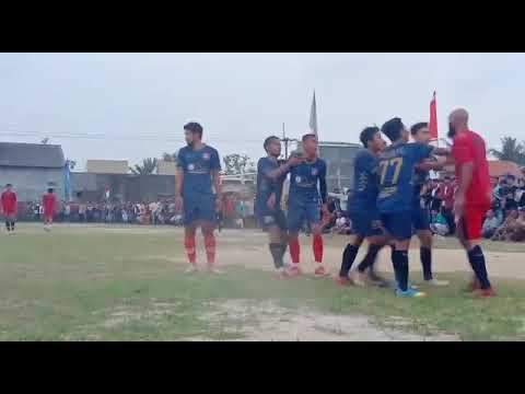 psl linduk juara