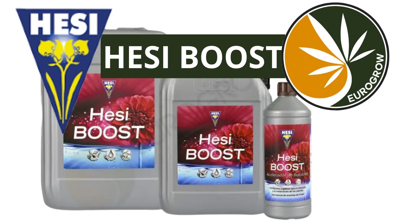 Video Hesi Boost