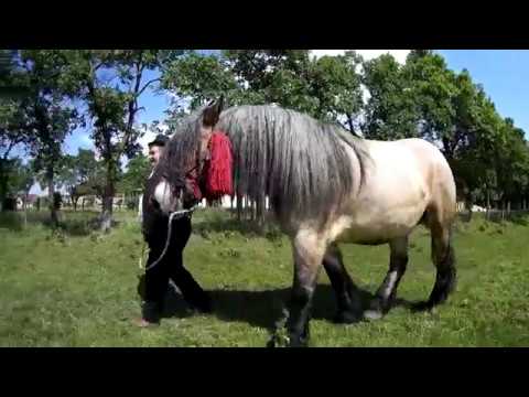 Iapa lui Pistuca de la Alunis!!!!