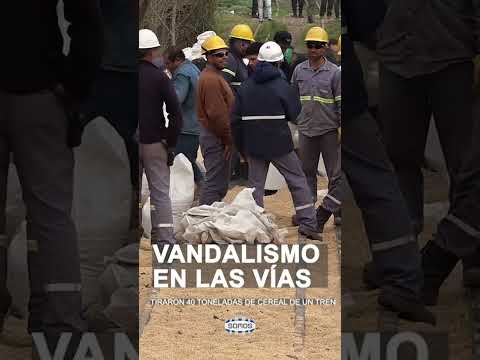 🚨 #VGG | VANDALISMO EN LAS VÍAS: TIRARON 40 TONELADAS DE CEREAL DE UN TREN