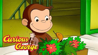 Catch That Snake! π΅ Curious George π΅ Kids Cartoon π΅ Kids Movies