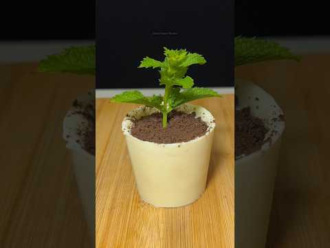 Choco flower pot dessert #shorts