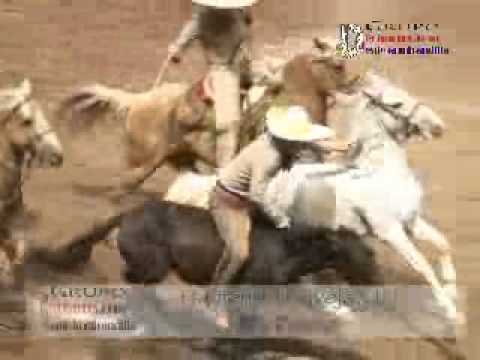 Dia 15 Campeonato Charro Zacatecas DeCharros.com