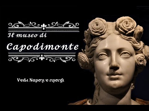 Il museo di Capodimonte - Vedi Napoli e risorgi (2020)
