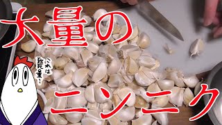 【NWTR】ニンニクの醤油漬けと味噌鰹ニンニク