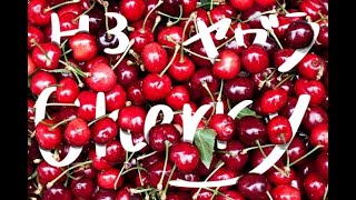 【毎日チェリー】どんなにかわいいサムネでも中身はイカが弾を撃ち合いながら喧嘩している動画。62日目