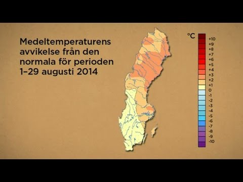 Sommarens värme och nederbörd - Nyhetsmorgon (TV4)