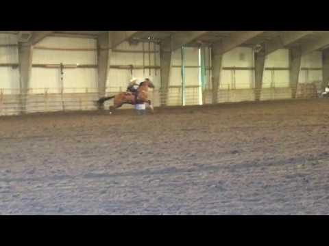 Three Tymes A Lady winning round 2 2016 Cornhusker Breeders & Open Futurity