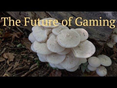 Unreal Engine 4 | PhotoRealistic Forest & Mountain | Landscapes [2018]