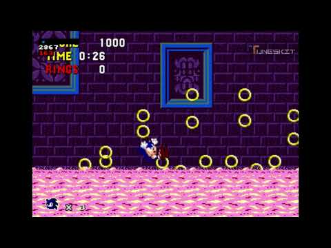 Sonic the hedgehog Hadokoa Sakusen Wakthrough