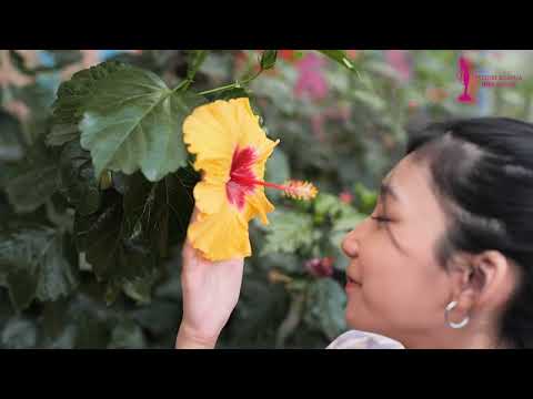 Profil puteri remaja Indonesia 2023 - Moethya Fianindita (Jawa Tengah 1)