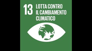 Pillole di sosstenibilità / Agenda 2030: Promuovere azioni per combattere il cambiamento climatico