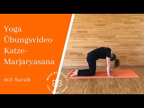 INSAJA - YOGA Übungsvideo - Katze - Marjaryasana