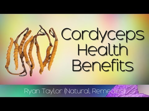 Cordyceps: Benefits for Health