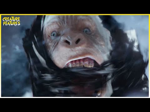 Thumbnail for video: Back To The Book Thumbnail for video: Back To The Book