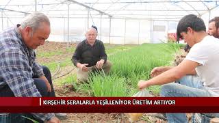Kırşehir seralarla yeşilleniyor üretim artıyor
