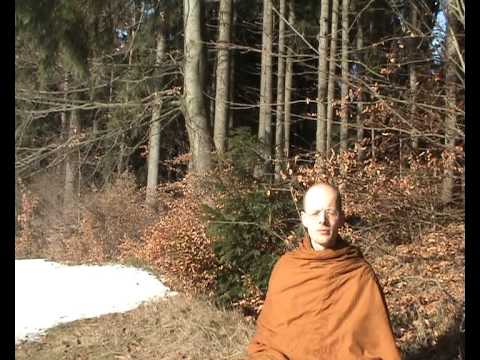 Ven. Gavesako - What is 'personality view' (sakkaya-ditthi)