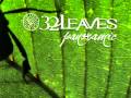 32 Leaves 'Safe Haven' 