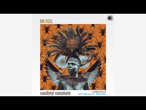 Dr Feel - Vaudzeyi Vanamate (Native Tribe & Da Q-Bic Inhuman's Remix)