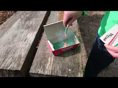 PIRAT X3 RAFAL EP #29