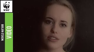 Wyke Van Weelden - World Of Blue video