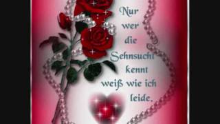 In Extremo Ich Vermiss Dich