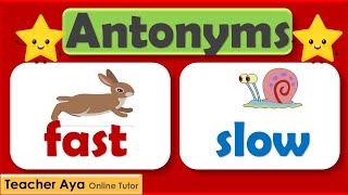 Antonyms | Opposite meaning |Learn the antonyms | Examples of antonyms | Lesson with quiz