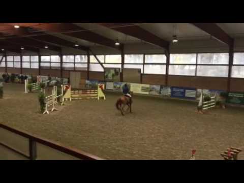 Cellestino.  Cellestial x Carlos dz