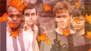 Angra dos Reis- transamerica